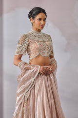 Blouse-Drape-Lehenga