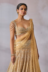 Blouse-Drape-Lehenga