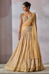 Blouse-Drape-Lehenga