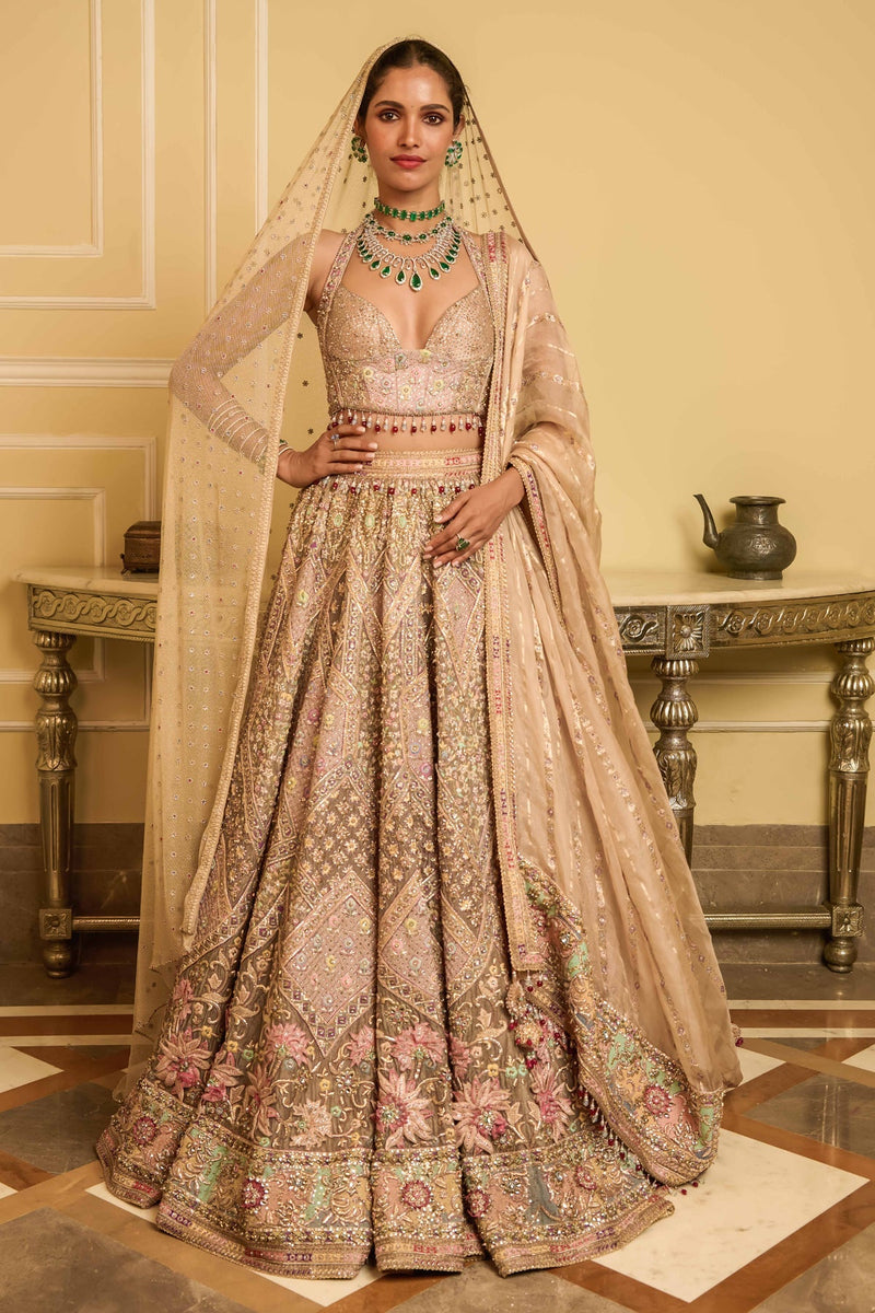 Embroidered lehenga, blouse. dupatta & veil