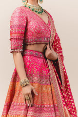 Panelled Lehenga With Zardozi Embroidery