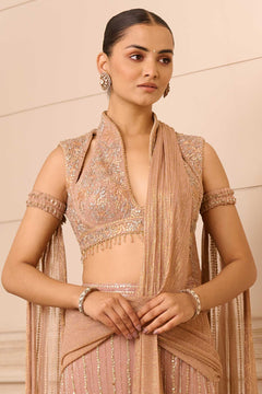 Concept Saree and Blouse