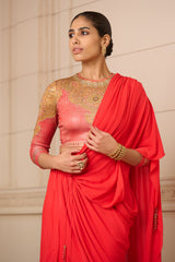 Concept Saree and Blouse