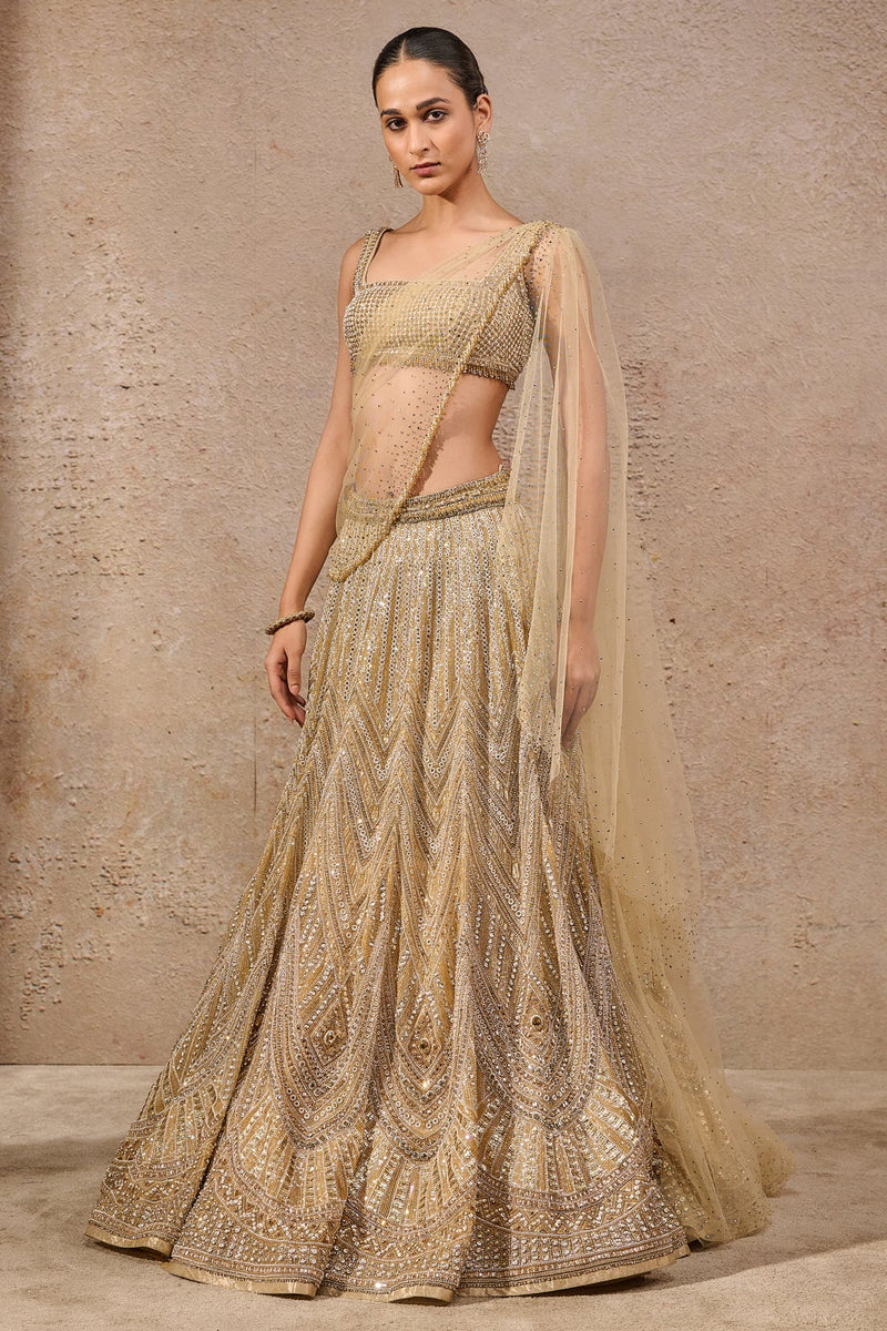 Stone & Sequin Studded Lehenga