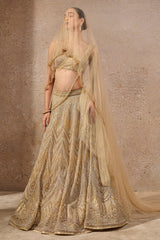 Stone & Sequin Studded Lehenga