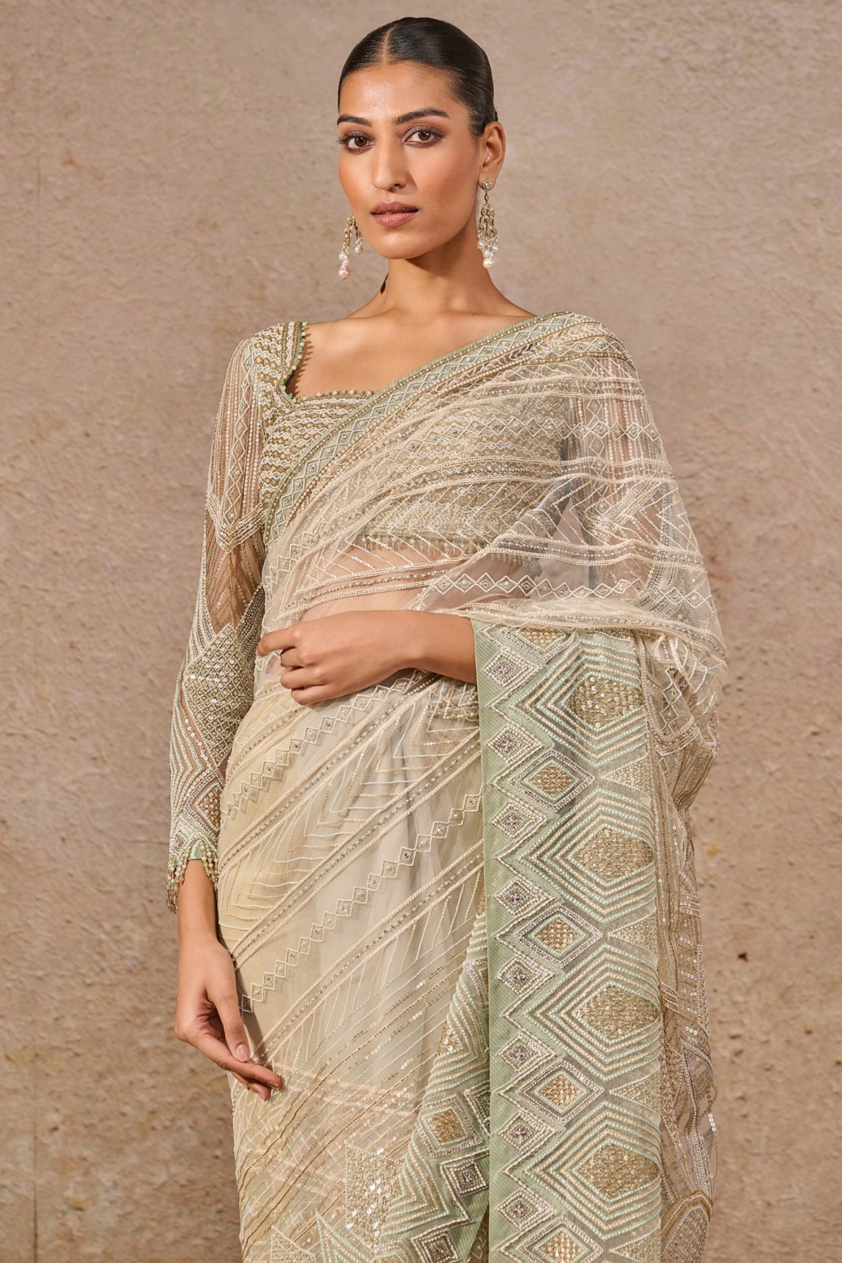 Timeless Hand Embroidered Resham & Sequin Saree - Only Saree