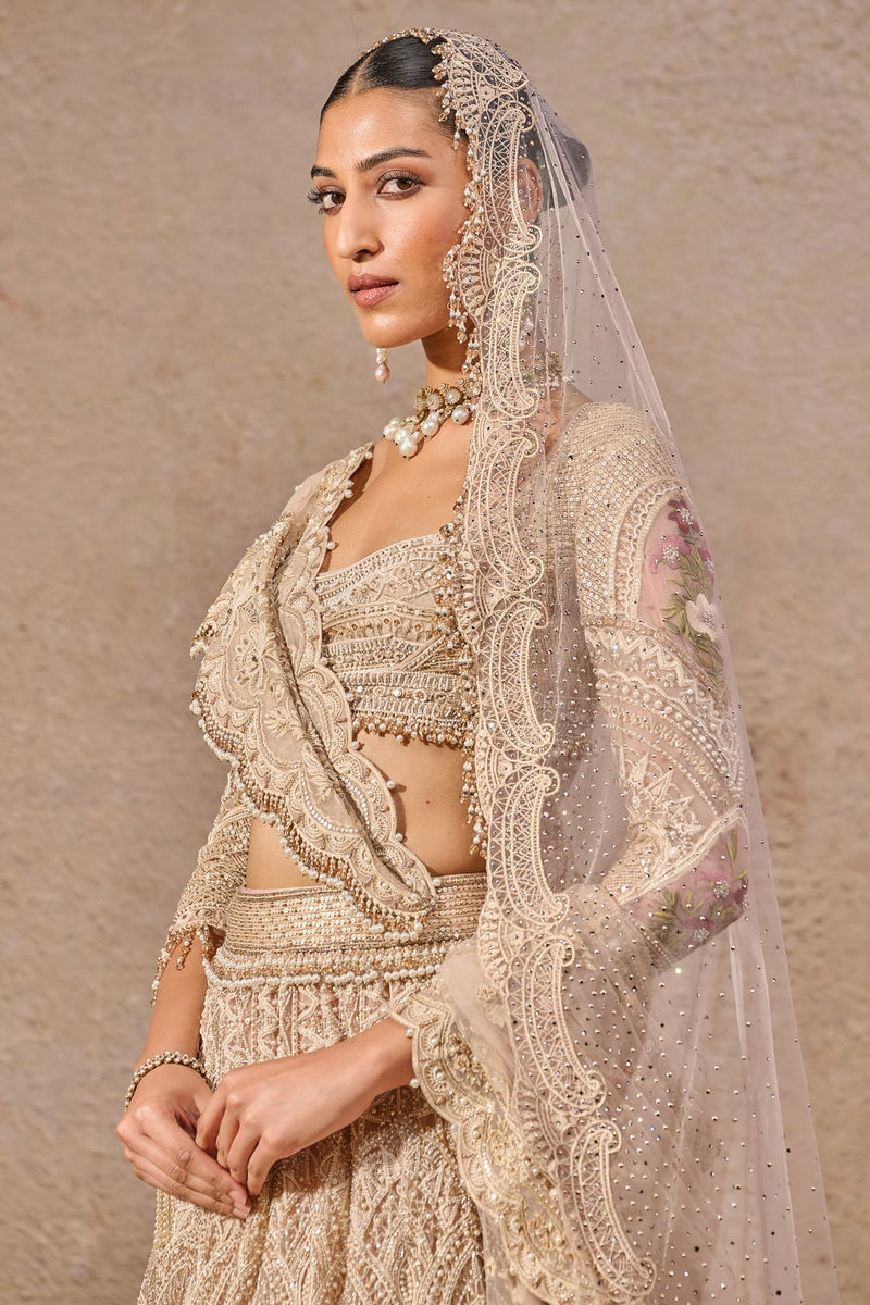 Resham Embroidered Lehenga