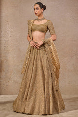 Resham Embroidered Lehenga