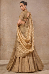 Resham Embroidered Lehenga