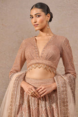 Pearl and sequin embroidered flared lehenga