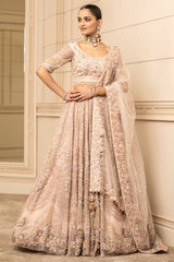 Embroidered Lehenga, Blouse, And Dupatta