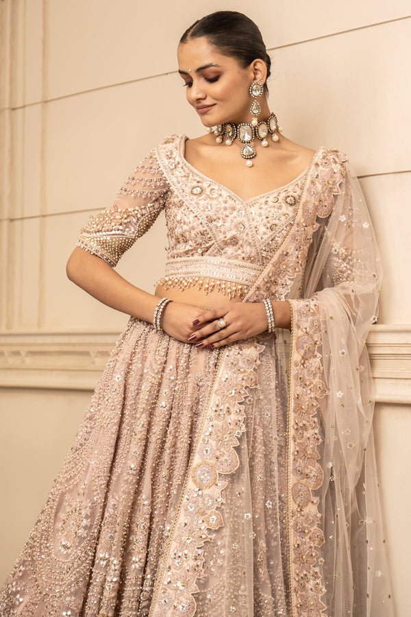 Embroidered Lehenga, Blouse, And Dupatta