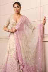 Lehenga, Blouse, and Dupatta