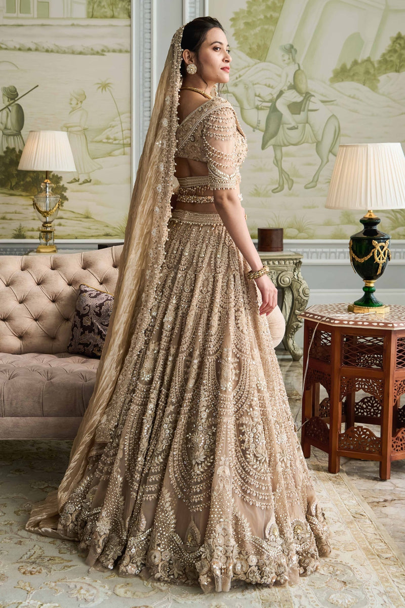 Embroidered lehenga, blouse, and dupatta