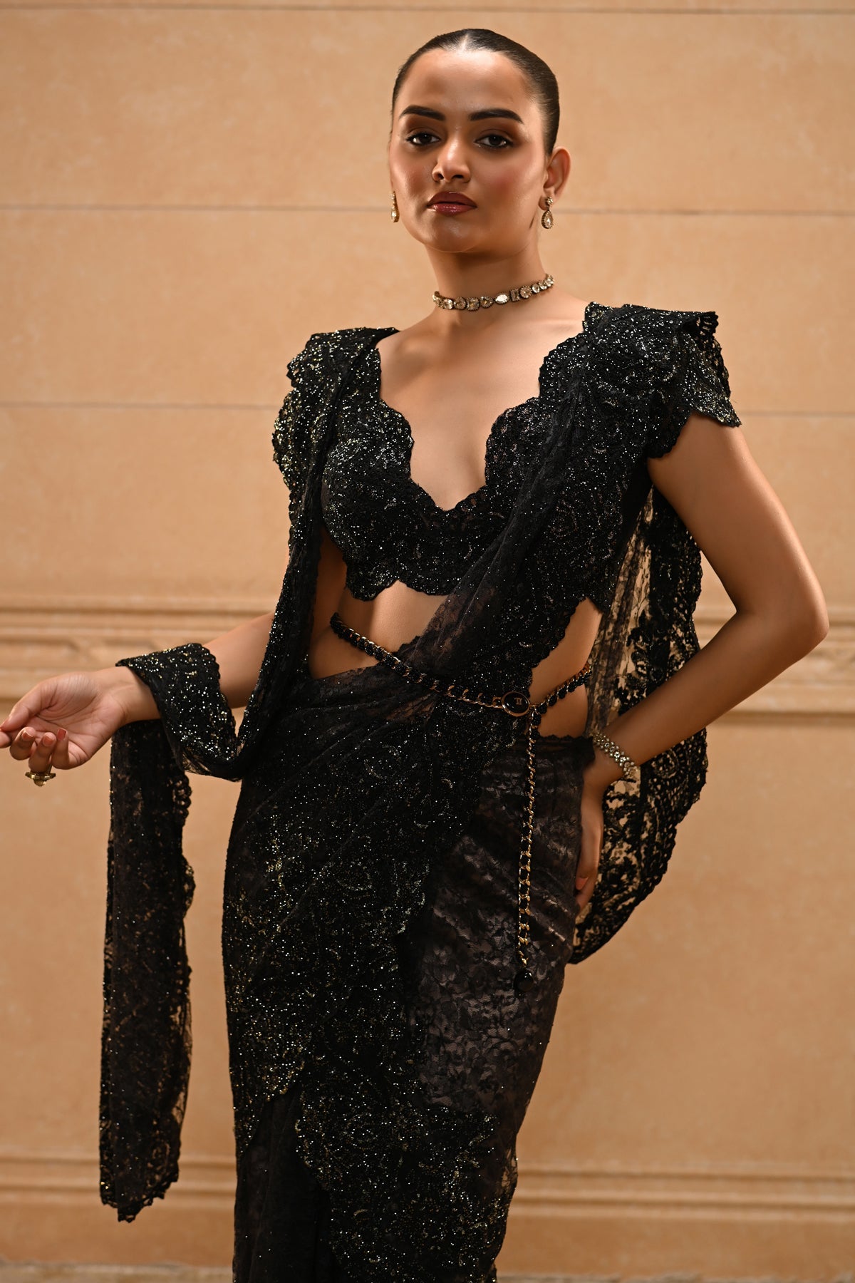 Embroidered Lace Saree