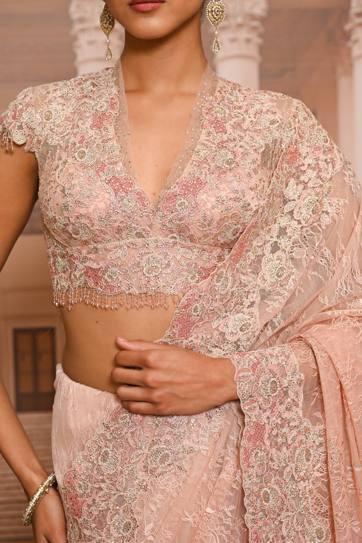 Ever Bloom Lace Embroidered Saree