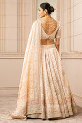 Pichwai Printed And Embroidered Lehenga