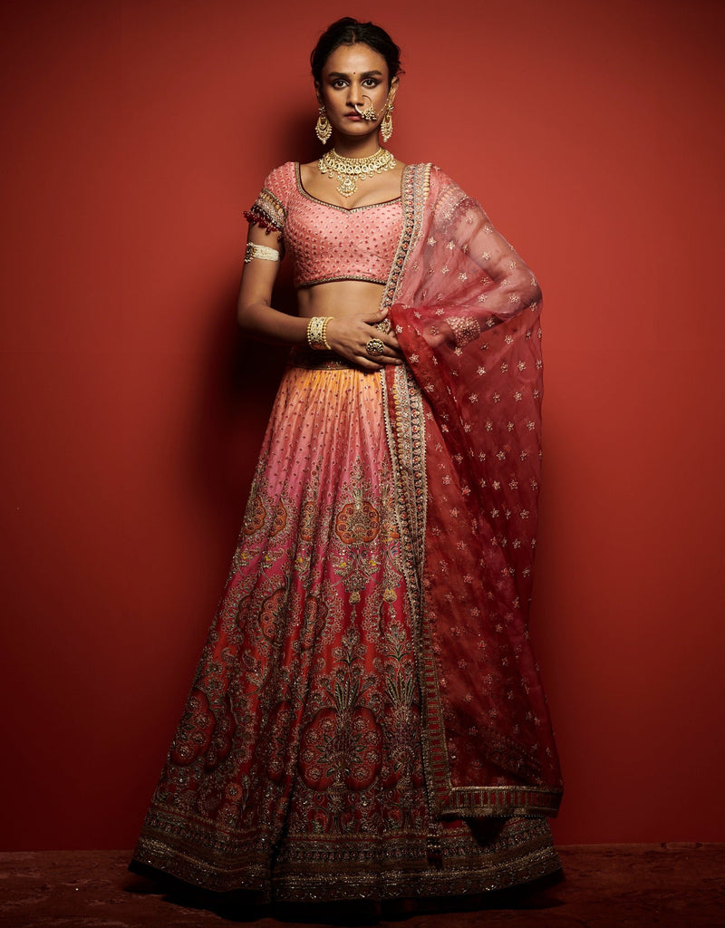 Ombre Lehenga with Hand Embroidery