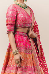 Panelled Lehenga With Zardozi Embroidery