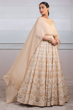 Ari Threadwork Anarkali