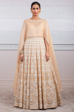 Ari Threadwork Anarkali