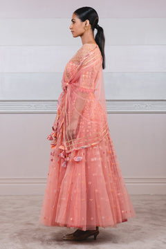 Check Applique Work Anarkali