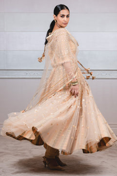 Check Applique Work Anarkali