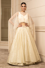 Cascade Lehenga, Blouse, and Cape