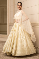 Cascade Lehenga, Blouse, and Cape