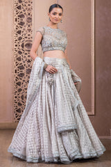 Blouse, Lehenga, And Scarf