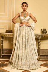 Chikankari lehenga, bustier, and dupatta