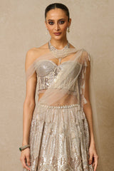 Lehenga, Blouse, Drape