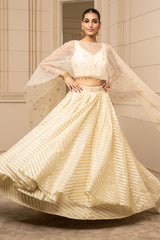 Cascade Lehenga, Blouse, and Cape